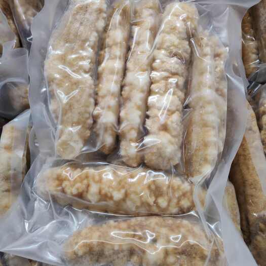 佛山黄玉参、8头黄肉参