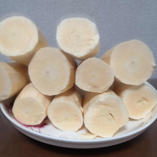 藤县黄肉面包木薯、华南9号木薯、糖水木薯