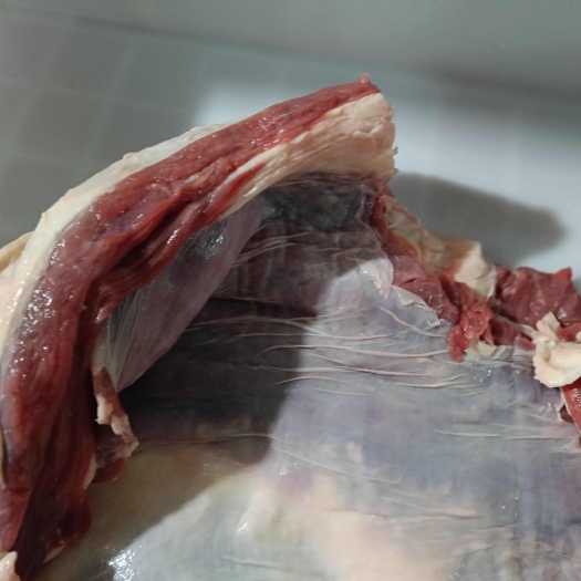 国产鲜货纯牛腩，肉多筋少，图货一致