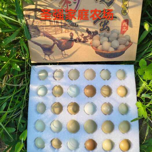 商河县七彩鸡蛋一件代发