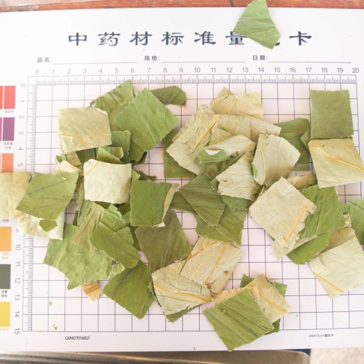 鄄城县荷叶块 茶用荷叶块今年新货量大从优，