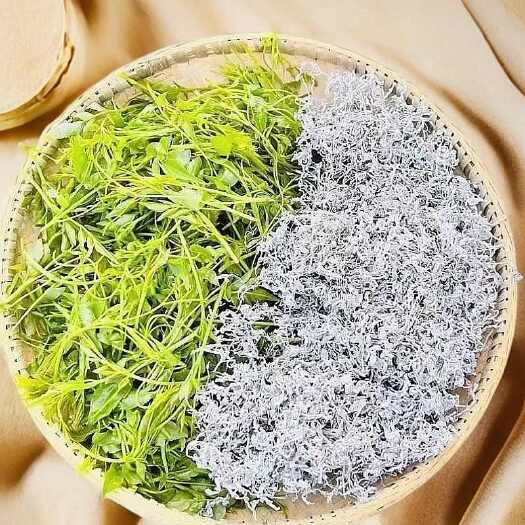 永顺县湖南永顺自产自销高山莓茶-清明芽头