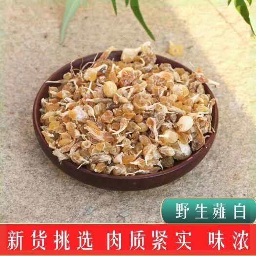亳州薤白中药材正品新鲜蒜山蒜干货小蒜独蒜瓜萎枳实薤白桂枝汤