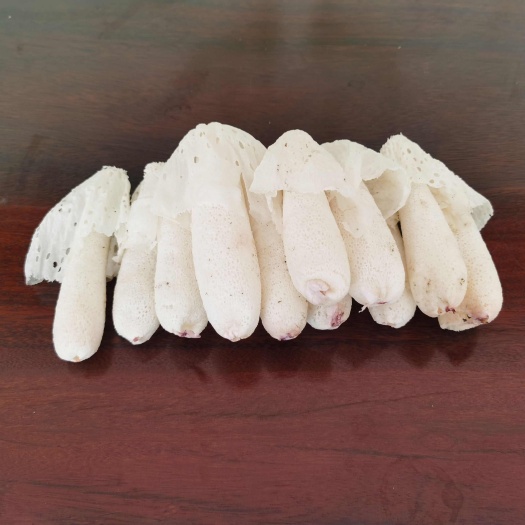 基地直发红托竹荪鲜品