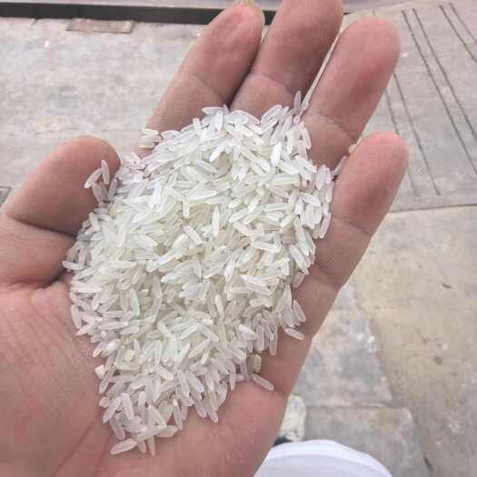 南昌县新米黄花粘标米