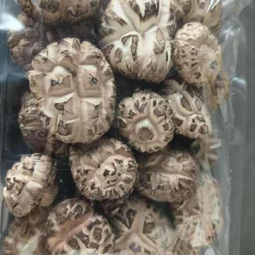 干香菇