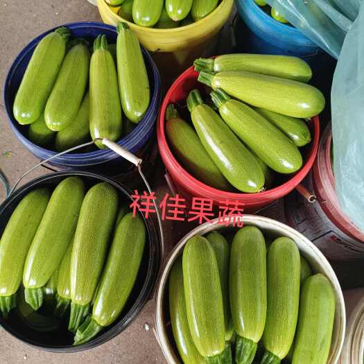 寿光市西葫芦《祥佳果蔬》产地直供，新鲜采摘