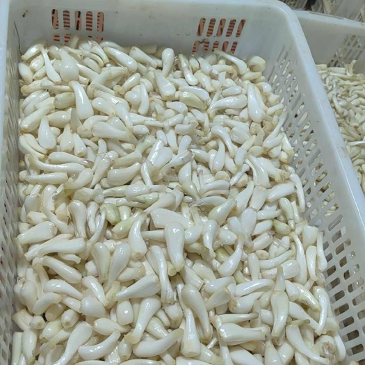 白衣藠頭，貨美價(jià)廉