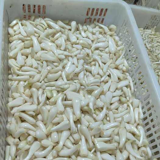 湘潭白衣藠头，货美价廉