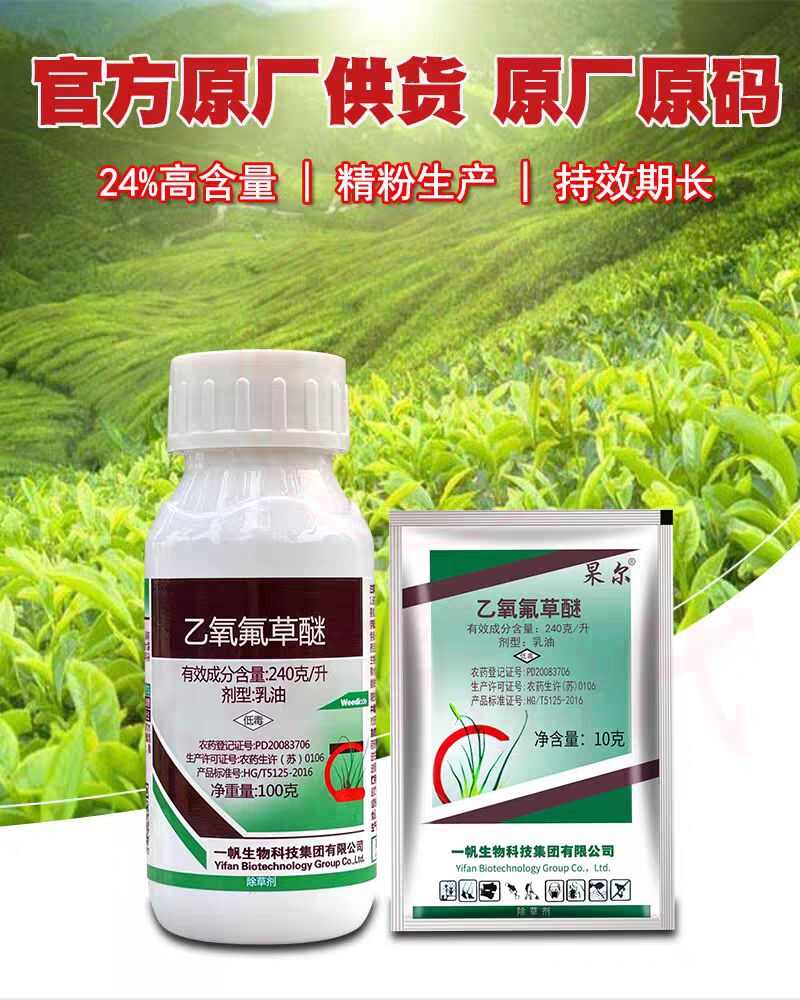 24%乙氧氟草醚大蒜水稻移栽田苗前封閉藥除草劑土壤封閉