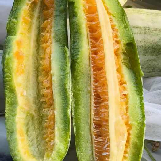 莘县博洋