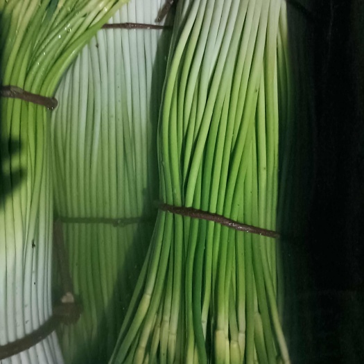 蒜苔