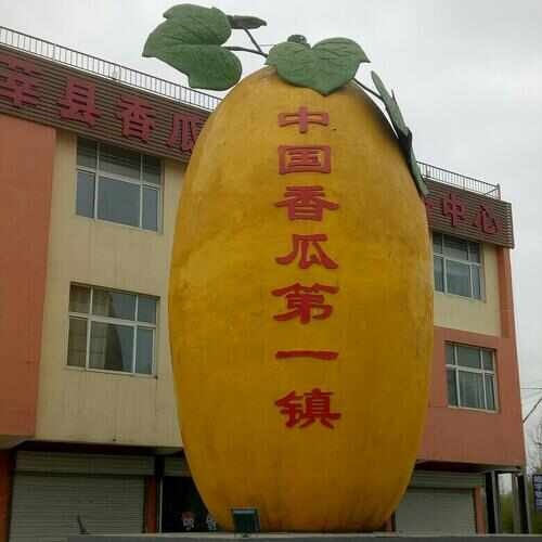 莘县莘县甜瓜燕店香瓜博洋羊角蜜 久红瑞玉菇甜瓜绿宝甜瓜花蕾花美人