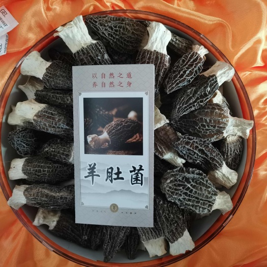 羊肚菌