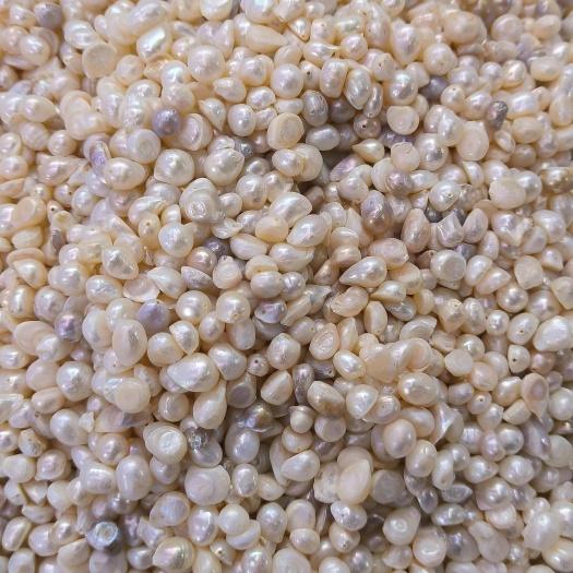 亳州珍珠 正品珍珠 质量保证 批发零售各种规格……