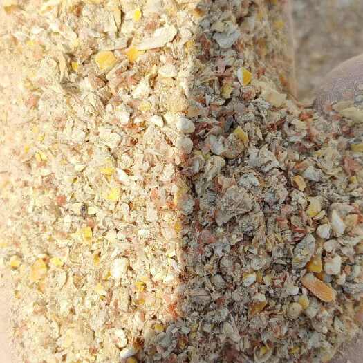 界首市东北粮碎玉米大量现货