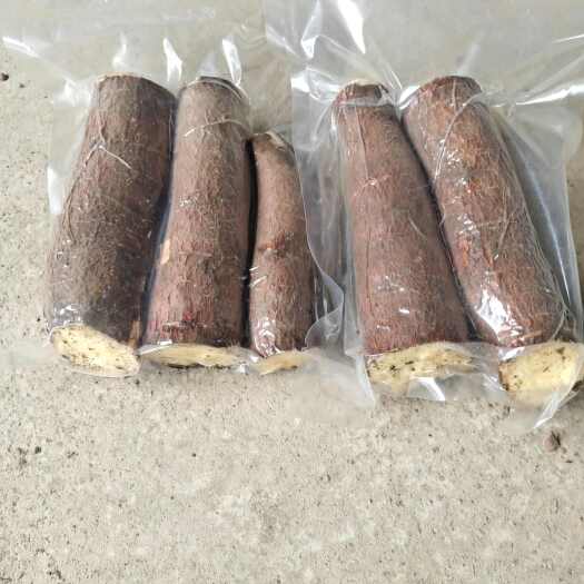 玉林黄金木薯