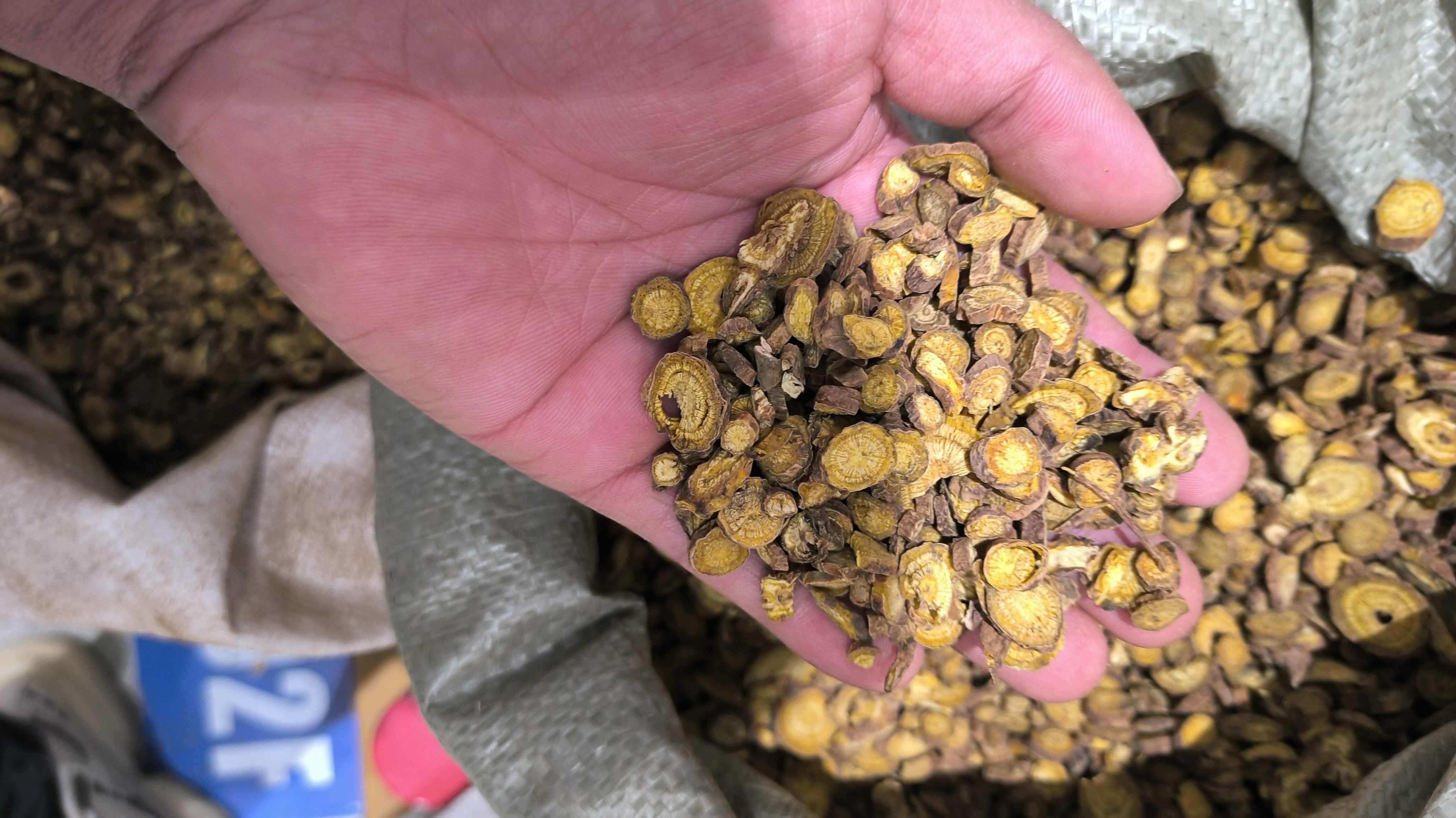 黄芩 枯芩 无硫 质量保证 批发零售各种中药材农副产品……