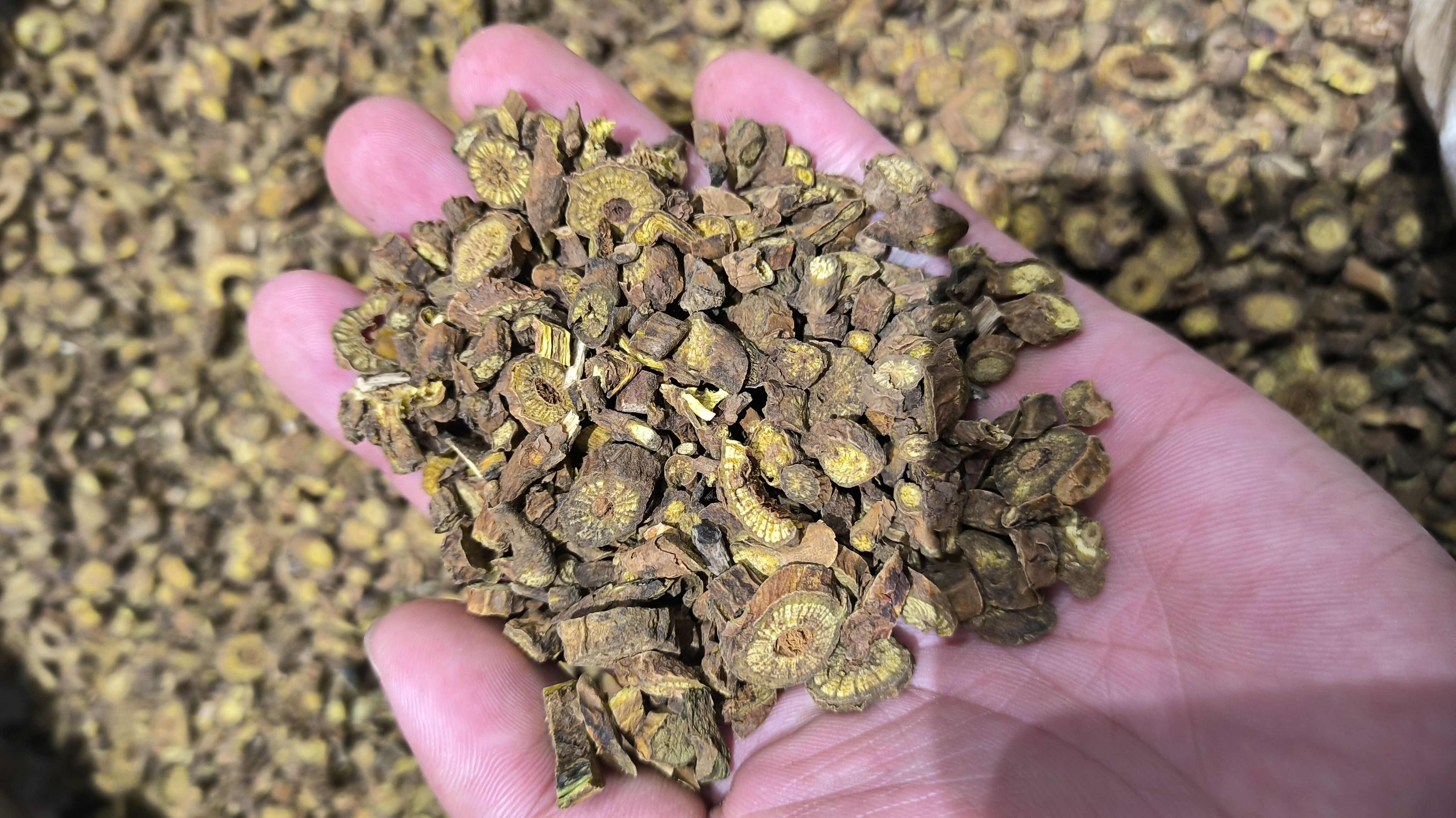 黄芩 枯芩 无硫 质量保证 批发零售各种中药材农副产品……
