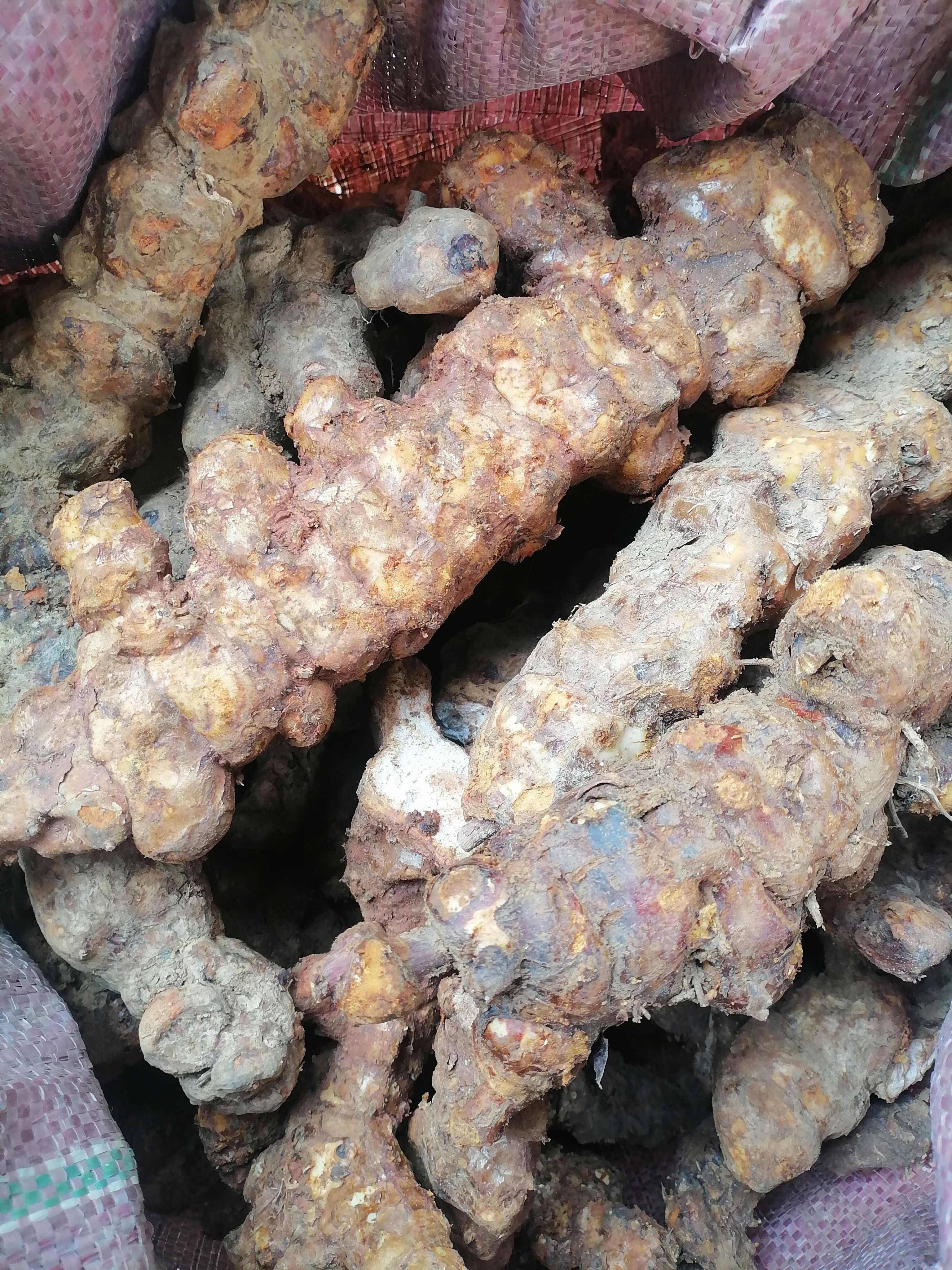 土茯苓，土茯苓，本地新鲜土茯苓，粉质白肉