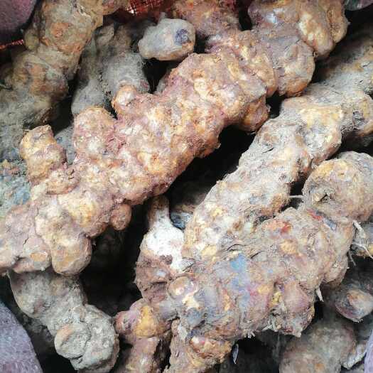 清远土茯苓，土茯苓，本地新鲜土茯苓，粉质白肉