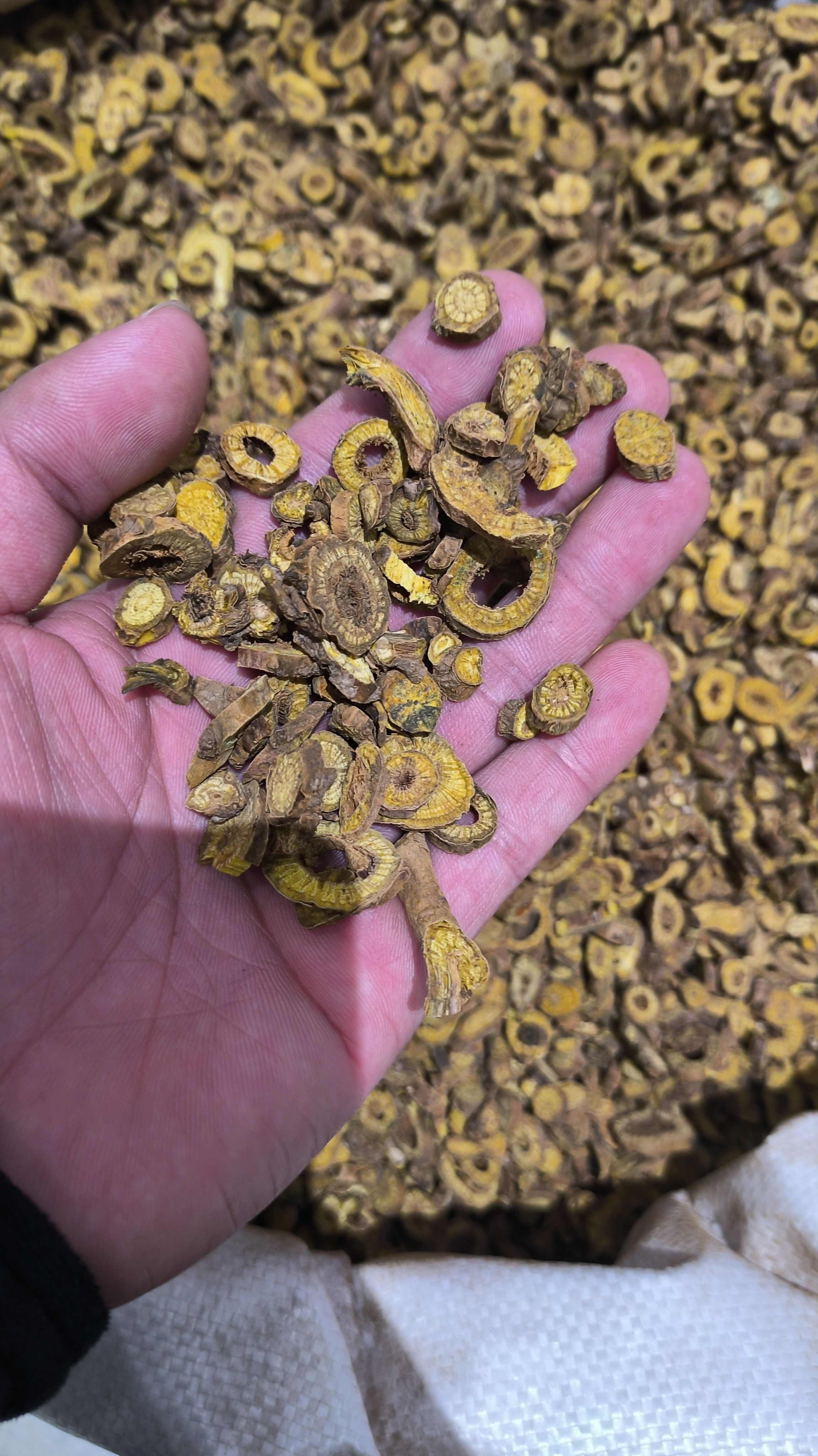 黄芩 枯芩 无硫 质量保证 批发零售各种中药材农副产品……