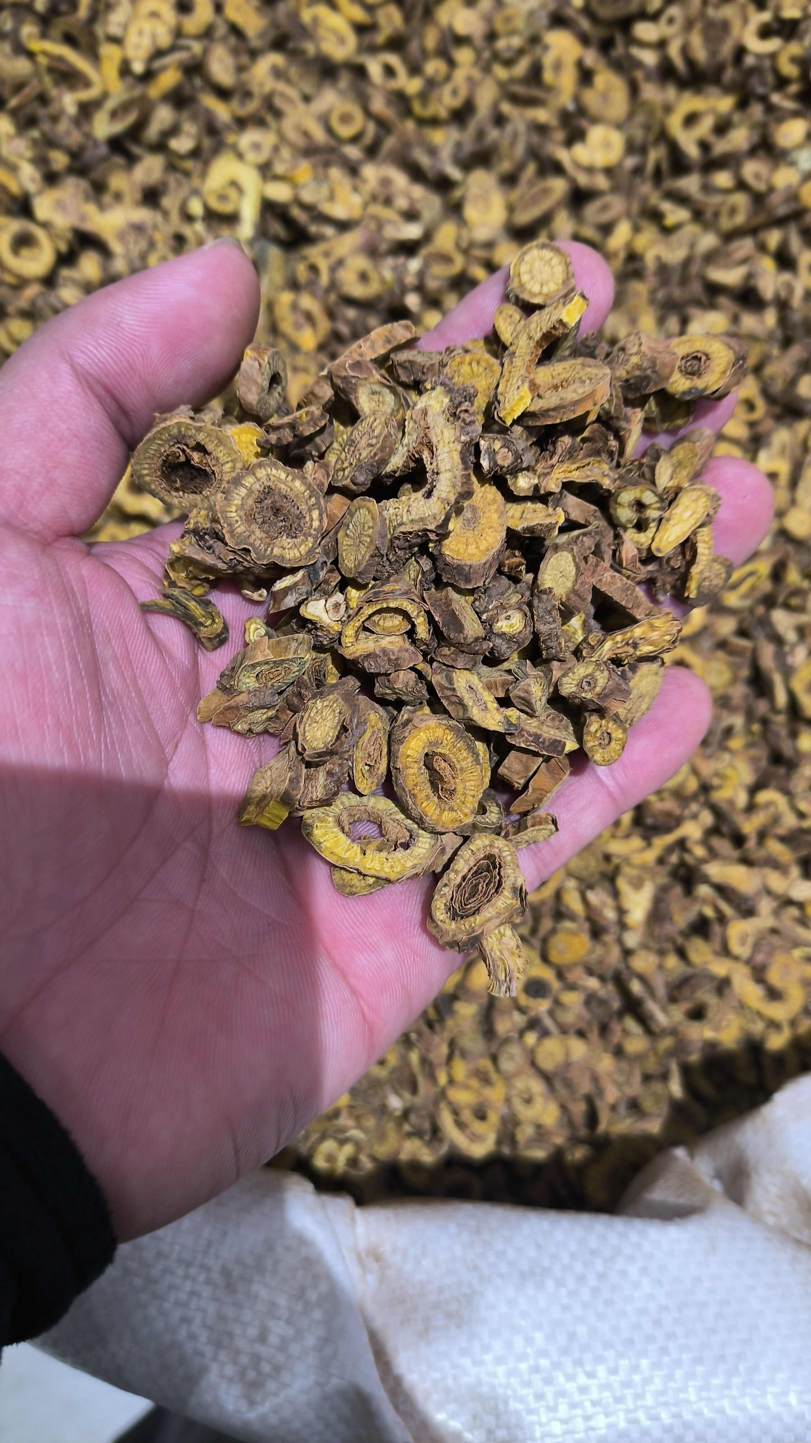 黄芩 枯芩 无硫 质量保证 批发零售各种中药材农副产品……