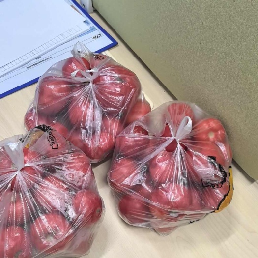 天津硬粉西红柿，甜度高，口感好