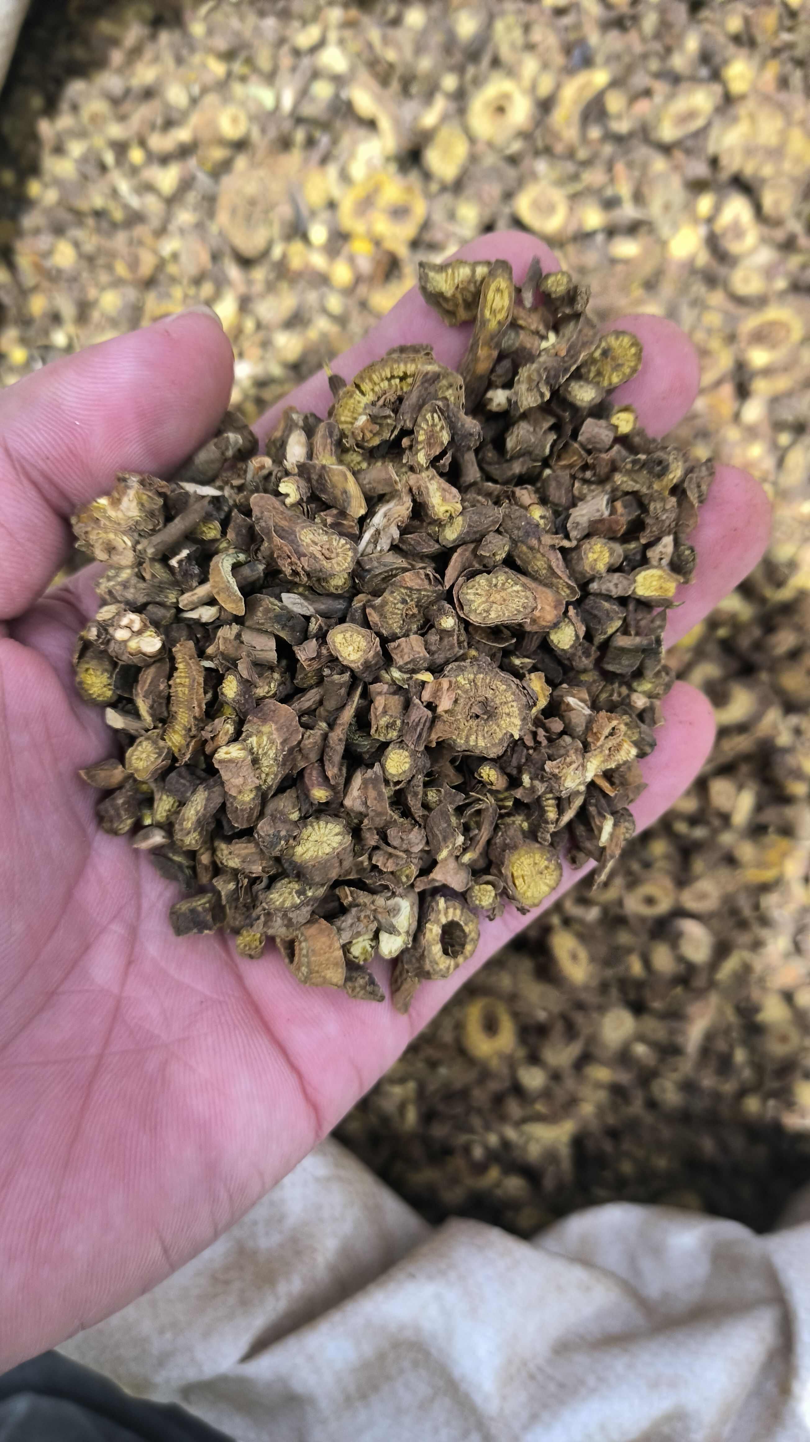 黄芩 枯芩 无硫 质量保证 批发零售各种中药材农副产品……
