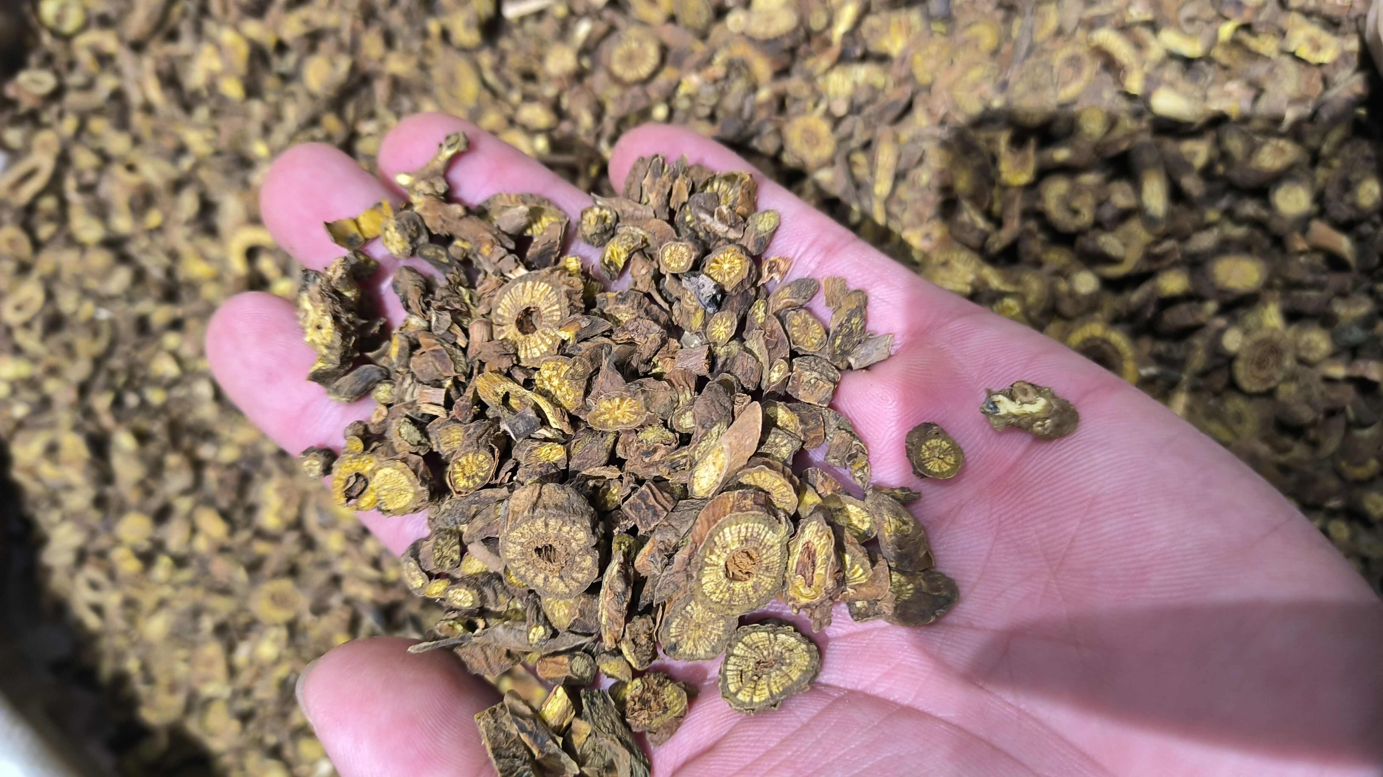 黄芩 枯芩 无硫 质量保证 批发零售各种中药材农副产品……