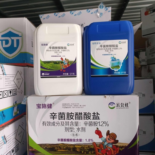 通许县绿野农安宝施健辛菌胺醋酸盐番茄辣椒病毒腐烂病棉花枯萎病杀菌剂