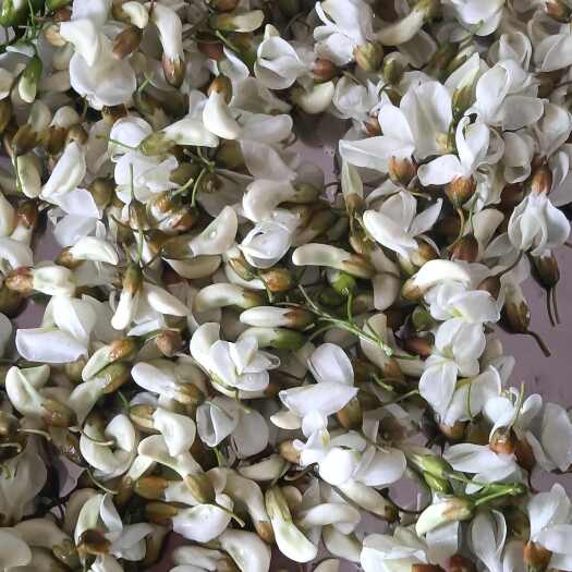 重庆市槐花，新鲜