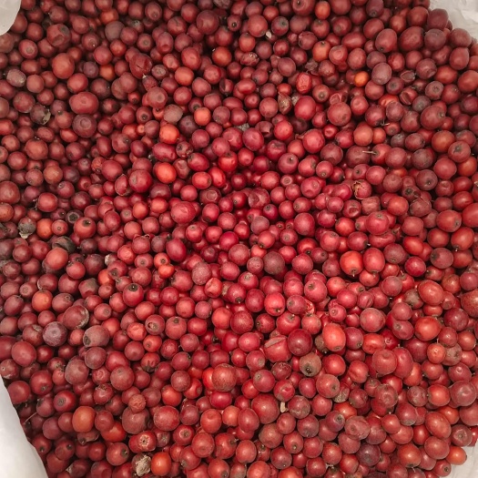 干酸枣