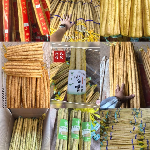 安平县小白嘴山药，铁棍山药，双棒山药，产地直供，可水洗加工分拣包装