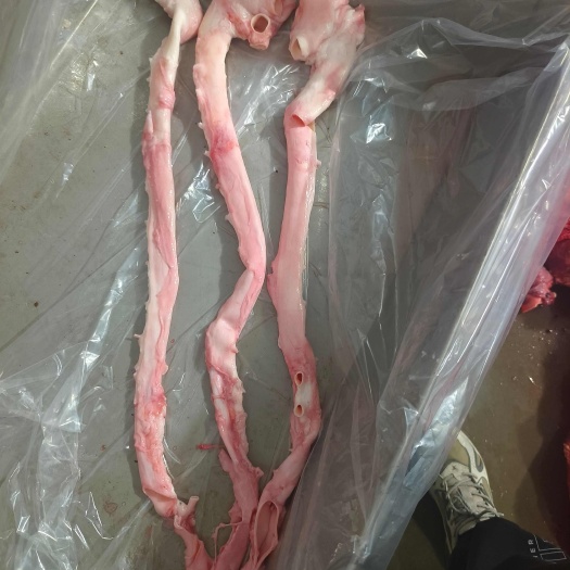 商丘猪黄喉