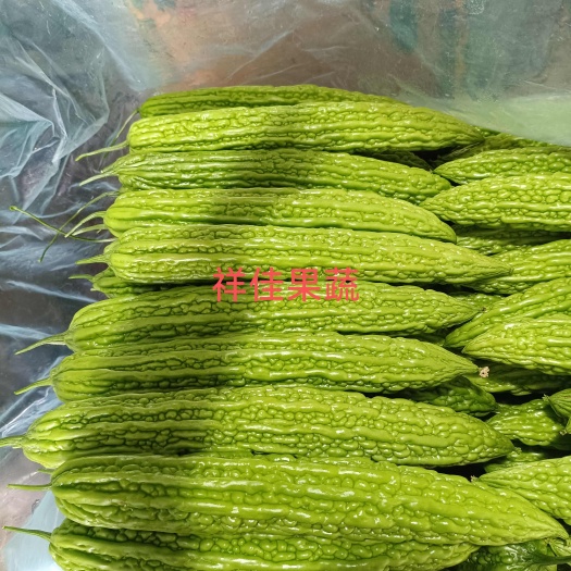 寿光市苦瓜  祥佳果蔬专业合作社提供优质蔬菜