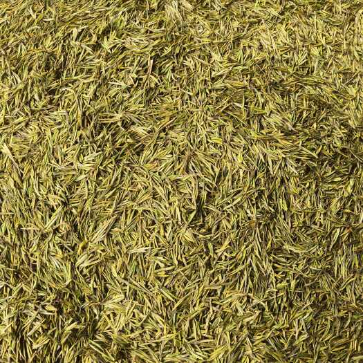正安县贵州绿茶正安白茶2025新茶叶明前珍稀白茶送礼