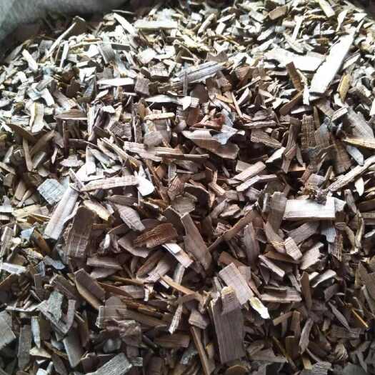 西和县鬼箭羽片，，产地甘肃陇南