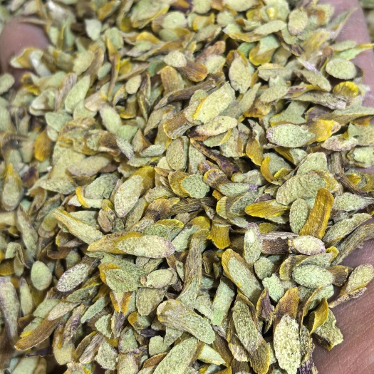 昆明铁皮石斛切片片薄、肉质好、全化渣