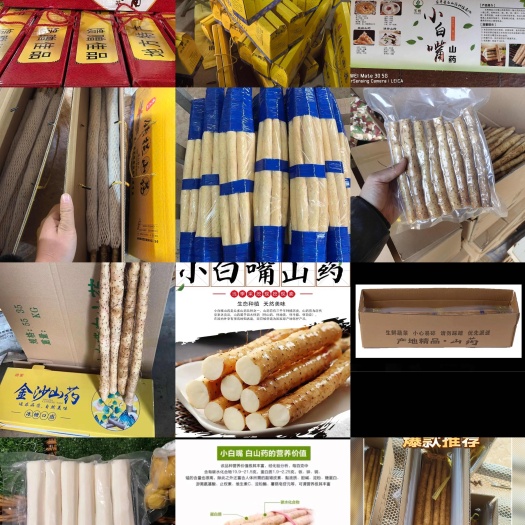 小白嘴，铁棍山药，全年大量现货供应，代办代加工，全国发货