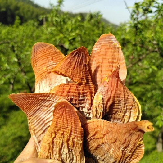 炎陵县25年新烤干高山笋干笋尖肉厚烟笋干楠竹笋干无硫无盐纯烤干