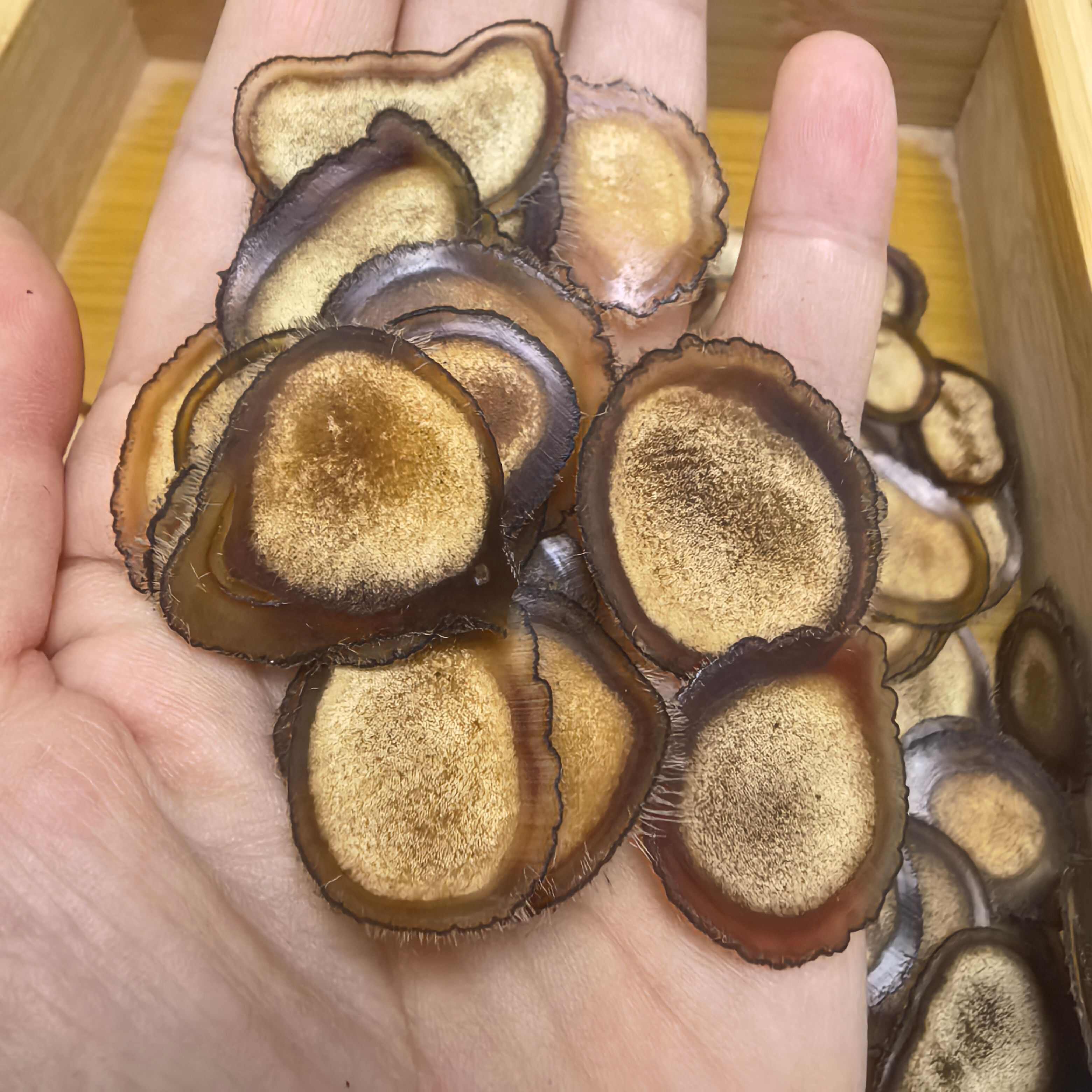 长白山鹿茸半腊片全腊片鹿乡本地直发