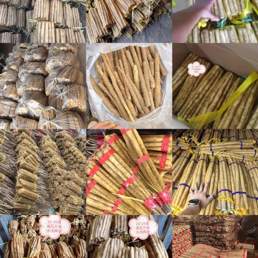 安平县小白嘴山药，铁棍山药，产地直供，一手货源，量大质优。欢迎选购
