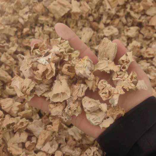 羊肚菌  2025 干货 菇脚 经济实惠 筛元 菇脚 羊肚菌