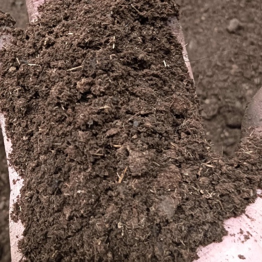 大邑县发酵纯牛羊粪