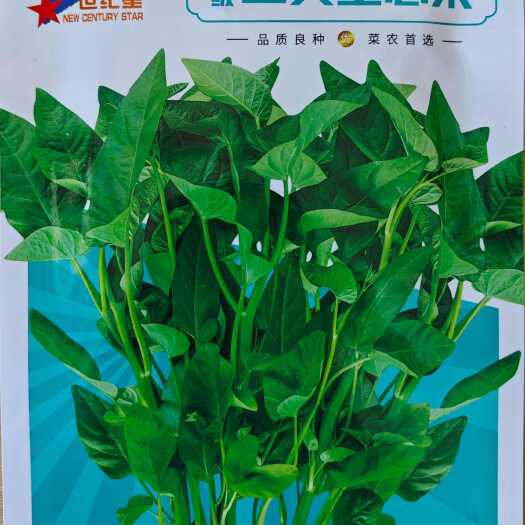 夏邑县空心菜种子尖叶三叉绿好吃蕹菜藤藤菜通菜藤藤花