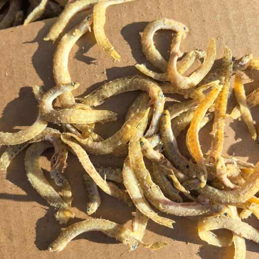 滨州凤尾鱼，皮条鱼，麻辣鱼，油。