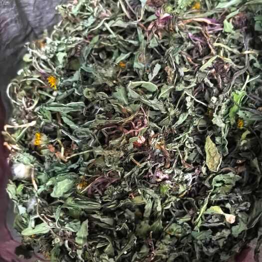 汝南县手检精品蒲公英