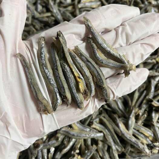 遂溪县海燕鱼去头 公鱼干 无头熟公鱼干 批发电商饭店代发