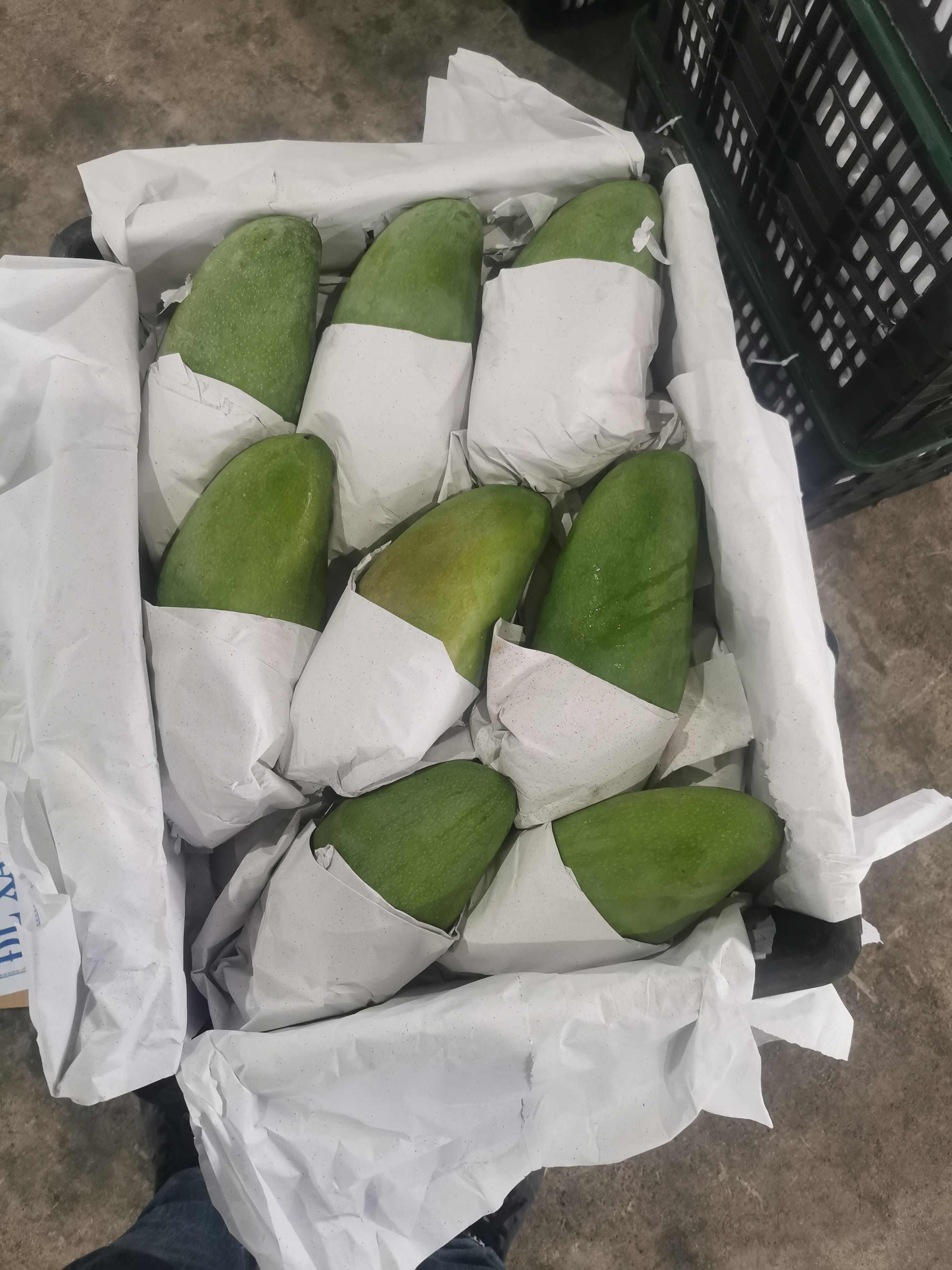 大青芒产地直发，一件带筐60斤 量大从优，一件代发，核薄肉厚